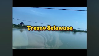 Tresno Selawase  Maher Mj    
