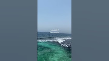 #اكسبلور #تلاوة_خاشعة #راحة_نفسية #حالة_وتساب #قرآن_كريم_أرح_قلبك_وسمعك #لايك