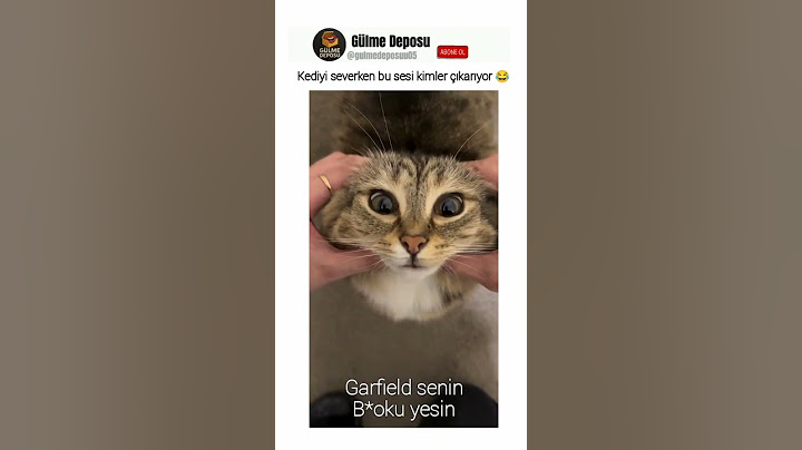 Kediyi severken kim bu sesi çıkarıyor