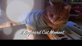 Keyboard Cat Needs You!