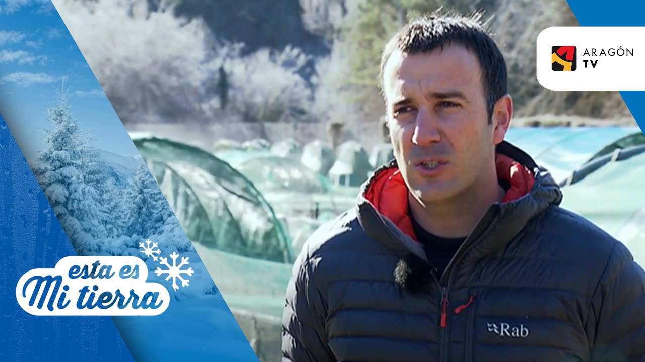 Repoblación de los ríos pirenaicos con trucha autóctona