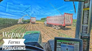 Chopping Corn! What Could Go Wrong?