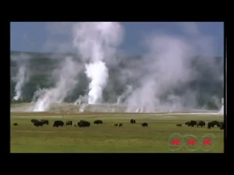 Vídeo: El Parque Nacional De Yellowstone Está Contratando
