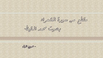 مقطع من سورة الشعراء بصوت محمد المقيط ~ ضجيج الخيال