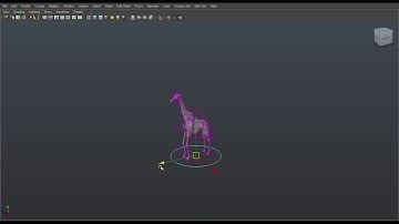 Giraffe Rigging