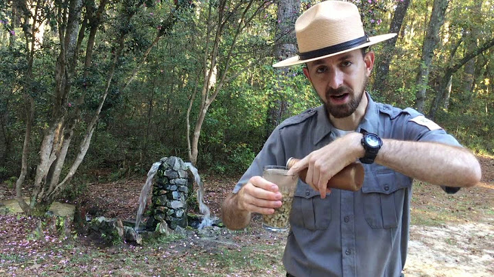Learn How An Artesian Well Works at Aiken State Park!