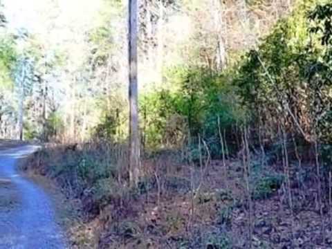 11 Deer Trail, Mineral Bluff, GA home video tour