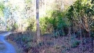 11 Deer Trail video tour
