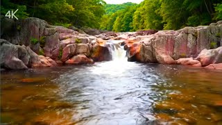 Peaceful Nature Ambience: Gentle Flow & Forest Birds for Sleep and Relaxation”