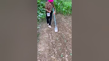 The process of fertilization = good tools to increase efficiency