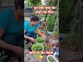 गर्मी में प्लांट की देखभाल कैसे करे#plants#gardeningideas#ytshorts