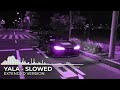 YALA EXTENDED QMIIR DJ Zarek Irokz Slowed TikTok Version 
