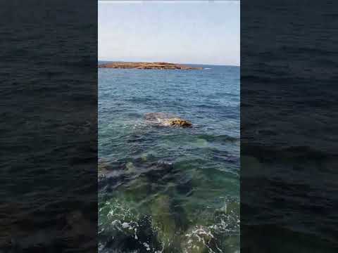 Vídeo: Com treure les espines d'eriçó de mar dels peus