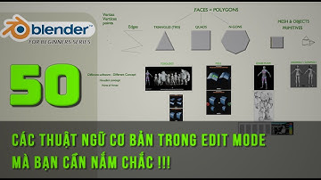 [Tự học Blender2025] Bài 50: Các thuật ngữ cơ bản ở EDIT MODE mà bạn cần nắm chắc!! |Blender cơ bản