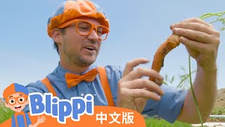 布利皮造访田中农场 - 如何让孩子吃得健康 | Blippi 中文版 | 儿童教育视频 | 实景探索