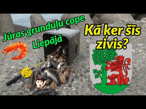 Video: Kā Makšķerēt Baltajā Jūrā