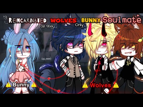 Reincarnated As The WOLVES Only BUNNY Soulmate || GCMM || Gacha Club Movie || [ Original ] || Part 1