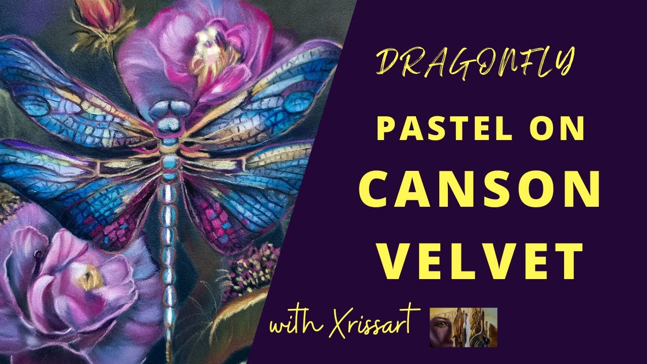 Dragonfly PanPastel Pastel Pencils Canson Velvet Paper