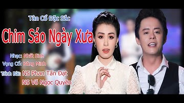 MV Mới 2022 Nghe Là Ghiền Sai Mê/CHIM SÁO NGÀY XƯA/NS Phan Tấn Đạt & NS Võ Ngọc Quyền
