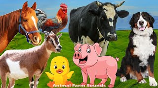 Discover Familiar Animals: Dog, Duck, Cow, Parrot, Pig, Hippo - Animal Paradise