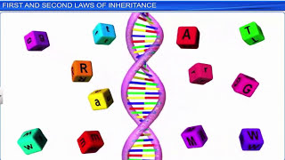 CBSE Class 12 Biology || Principles of Inheritance and Variation Part 1 || Full Chapter ||