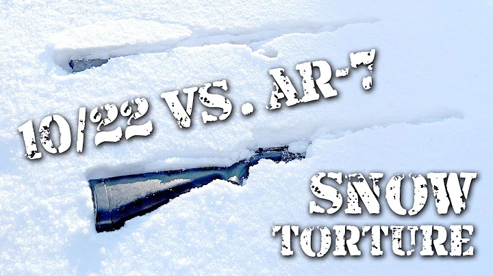 10/22 and AR-7 Extreme Snow Torture Test | Which one will win? | Ruger vs. Henry gun review