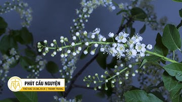 Phút Cầu Nguyện, Thứ Hai 19/08/2019: Điểm Tựa Yêu Thương