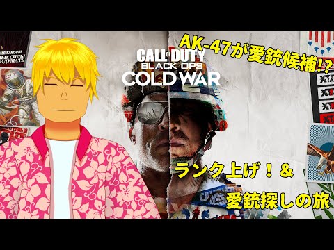 【Call of Duty BOCW】ランク上げ配信！愛銃を見つけたい！！！