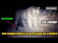 Tigre Siberiano Derrota a un Pastor Aleman y Lobos contra un Kangal