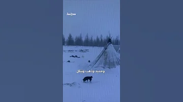 سيبيريا أرض الخيرات وموطن النفي الروسي 