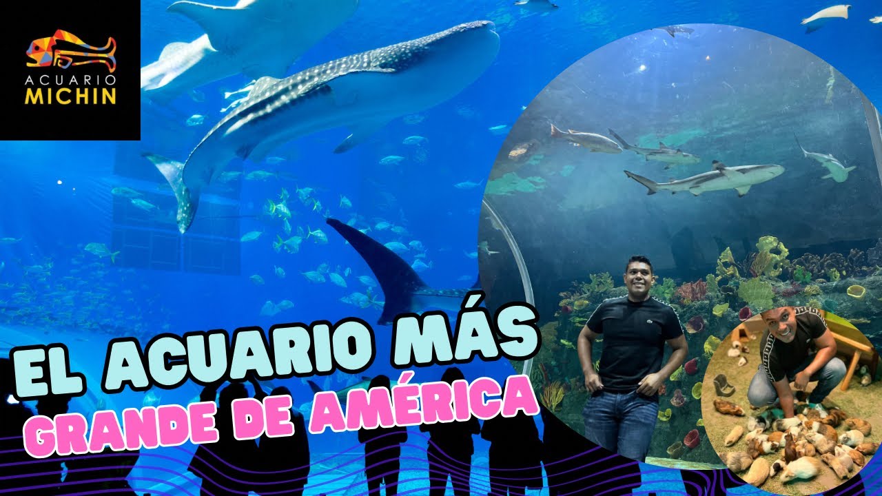 ACUARIO MICHIN EN CDMX (EL MÁS GRANDE DE AMÉRICA) - YouTube