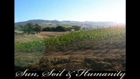 Trinitas 2006 Pinot Blanc, Sonoma County tasting video