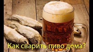 Варим пиво дома в кастрюле. Бюджетная варка. Варим пиво дома в кастрюле. Бюджетная варка.