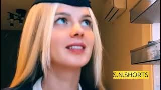 Inside the Elegant Lives of Flight Attendants