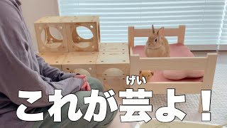 うさぎの別荘を嫁ちゃんが思う「芸」のある部屋に模様替えして貰いました　#1003