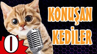 Konuşan Kediler 0 Sifir - Komik Kediler