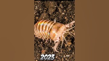 2023 Death worm and 5000bce Death worm |mythical genius| #viral #foryou #viral #viral #viral