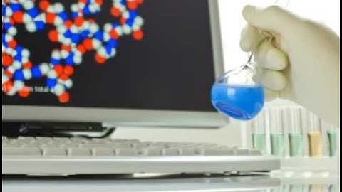 Animal Testing - The Issue