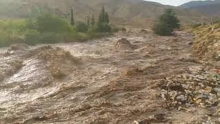 #فيضان واد بجر بدائرة ششار جنوب ولاية خنشلة كمية مياه ضخمة تذهب هباء دون استغلال