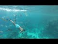 Egypt. Snorkeling with fish in the Red sea at Sharm-El-Sheikh.А теперь за рыбами!Рифы Красного моря