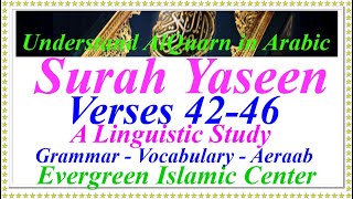 Understanding Quran in Arabic Surah 036 Yaseen Aayats 42-46