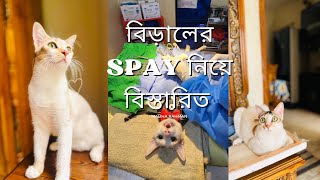 Vlog#265 বিড়ালের spay, neuter সকল প্রশ্নের উত্তর| cat vaccine, spay, Neuter, cost|AZ of cat spaying