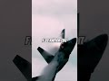 F-22 raptor edit ￼