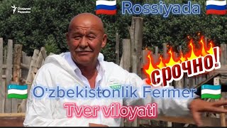 🇷🇺 Rossiyada 🇷🇺 🇺🇿O'zbekistondan 🇺🇿 Yana 🐏Bitta🐂 Fermer🐄🐮 фермер с Узбекистана