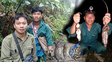 Một ngày phiêu lưu trong rừng sâu | Bắt ếch, săn chuột và bữa tối bên bếp lửa