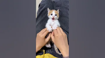 هوا انت طالع حلو لمين 