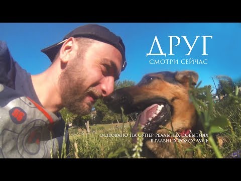 Видео: Друг - Тизер