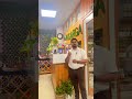 Nisarga Holistic Health Centre, Whitefield Bangalore