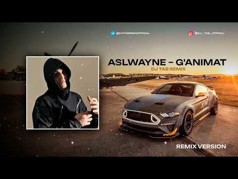 AslWayne - G'animat (DJ_TAB Remix)