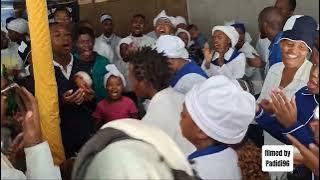 Grand Opening 2025 (Hosted by CFJ) Welkom
